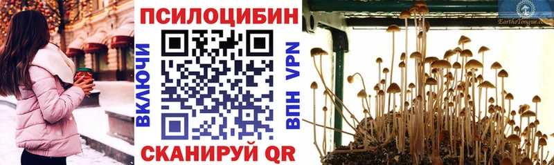 маркетплейс Telegram  Строитель  Псилоцибиновые грибы Magic Shrooms  blacksprut ССЫЛКА 
